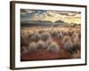 Morning Light over Desert Dunes, Mountains and Sun-Lit Grasses in the Namibrand, Namibia, Sw Africa-Frances Gallogly-Framed Photographic Print