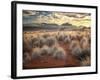 Morning Light over Desert Dunes, Mountains and Sun-Lit Grasses in the Namibrand, Namibia, Sw Africa-Frances Gallogly-Framed Photographic Print
