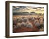 Morning Light over Desert Dunes, Mountains and Sun-Lit Grasses in the Namibrand, Namibia, Sw Africa-Frances Gallogly-Framed Photographic Print