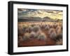 Morning Light over Desert Dunes, Mountains and Sun-Lit Grasses in the Namibrand, Namibia, Sw Africa-Frances Gallogly-Framed Photographic Print