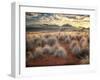 Morning Light over Desert Dunes, Mountains and Sun-Lit Grasses in the Namibrand, Namibia, Sw Africa-Frances Gallogly-Framed Photographic Print