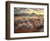 Morning Light over Desert Dunes, Mountains and Sun-Lit Grasses in the Namibrand, Namibia, Sw Africa-Frances Gallogly-Framed Photographic Print