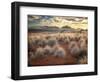 Morning Light over Desert Dunes, Mountains and Sun-Lit Grasses in the Namibrand, Namibia, Sw Africa-Frances Gallogly-Framed Photographic Print