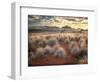 Morning Light over Desert Dunes, Mountains and Sun-Lit Grasses in the Namibrand, Namibia, Sw Africa-Frances Gallogly-Framed Photographic Print