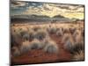 Morning Light over Desert Dunes, Mountains and Sun-Lit Grasses in the Namibrand, Namibia, Sw Africa-Frances Gallogly-Mounted Photographic Print