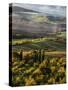 Morning Light over the Fields of Winter Wheat above the Tuscan Landscape-Terry Eggers-Stretched Canvas