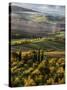 Morning Light over the Fields of Winter Wheat above the Tuscan Landscape-Terry Eggers-Stretched Canvas