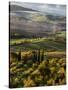 Morning Light over the Fields of Winter Wheat above the Tuscan Landscape-Terry Eggers-Stretched Canvas