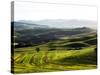 Morning Light over the Fields of Winter Wheat above the Tuscan Landscape-Terry Eggers-Stretched Canvas