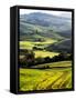 Morning Light over the Fields of Winter Wheat above the Tuscan Landscape-Terry Eggers-Framed Stretched Canvas