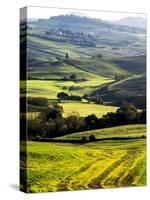 Morning Light over the Fields of Winter Wheat above the Tuscan Landscape-Terry Eggers-Stretched Canvas