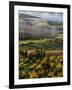 Morning Light over the Fields of Winter Wheat above the Tuscan Landscape-Terry Eggers-Framed Photographic Print