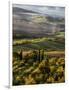 Morning Light over the Fields of Winter Wheat above the Tuscan Landscape-Terry Eggers-Framed Photographic Print