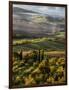 Morning Light over the Fields of Winter Wheat above the Tuscan Landscape-Terry Eggers-Framed Photographic Print