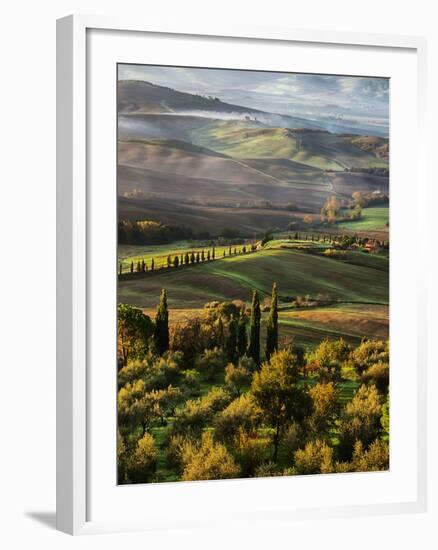 Morning Light over the Fields of Winter Wheat above the Tuscan Landscape-Terry Eggers-Framed Photographic Print