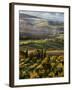 Morning Light over the Fields of Winter Wheat above the Tuscan Landscape-Terry Eggers-Framed Photographic Print