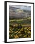 Morning Light over the Fields of Winter Wheat above the Tuscan Landscape-Terry Eggers-Framed Photographic Print