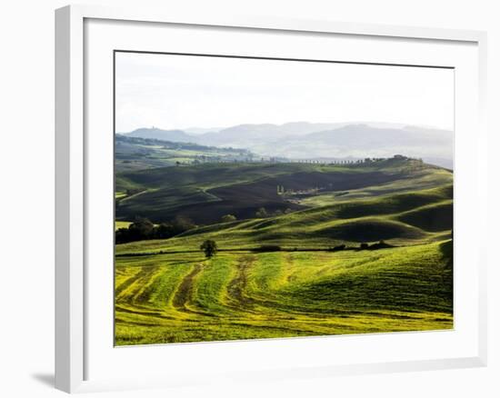 Morning Light over the Fields of Winter Wheat above the Tuscan Landscape-Terry Eggers-Framed Photographic Print