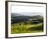 Morning Light over the Fields of Winter Wheat above the Tuscan Landscape-Terry Eggers-Framed Photographic Print