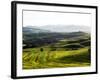 Morning Light over the Fields of Winter Wheat above the Tuscan Landscape-Terry Eggers-Framed Photographic Print