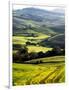 Morning Light over the Fields of Winter Wheat above the Tuscan Landscape-Terry Eggers-Framed Photographic Print