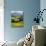 Morning Light over the Fields of Winter Wheat above the Tuscan Landscape-Terry Eggers-Photographic Print displayed on a wall