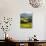 Morning Light over the Fields of Winter Wheat above the Tuscan Landscape-Terry Eggers-Photographic Print displayed on a wall