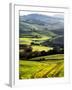 Morning Light over the Fields of Winter Wheat above the Tuscan Landscape-Terry Eggers-Framed Photographic Print