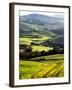 Morning Light over the Fields of Winter Wheat above the Tuscan Landscape-Terry Eggers-Framed Photographic Print