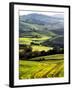 Morning Light over the Fields of Winter Wheat above the Tuscan Landscape-Terry Eggers-Framed Photographic Print