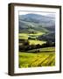 Morning Light over the Fields of Winter Wheat above the Tuscan Landscape-Terry Eggers-Framed Photographic Print