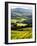 Morning Light over the Fields of Winter Wheat above the Tuscan Landscape-Terry Eggers-Framed Photographic Print