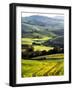 Morning Light over the Fields of Winter Wheat above the Tuscan Landscape-Terry Eggers-Framed Photographic Print