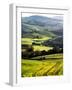 Morning Light over the Fields of Winter Wheat above the Tuscan Landscape-Terry Eggers-Framed Photographic Print