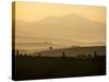 Morning Light over the Tuscan Landscape-Terry Eggers-Stretched Canvas