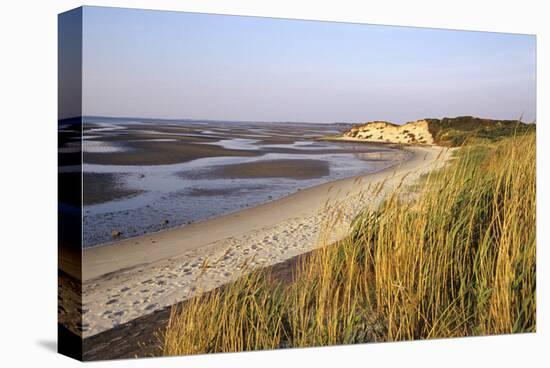 Morning light, Sylt, Schleswig-Holstein, Germany-null-Stretched Canvas