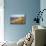 Morning light, Sylt, Schleswig-Holstein, Germany-null-Mounted Art Print displayed on a wall