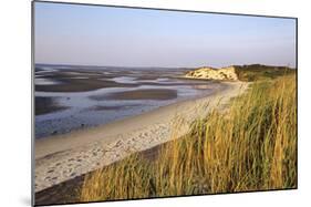 Morning light, Sylt, Schleswig-Holstein, Germany-null-Mounted Art Print