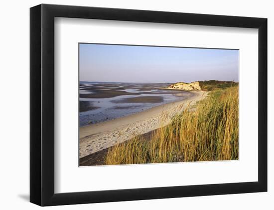 Morning light, Sylt, Schleswig-Holstein, Germany-null-Framed Art Print