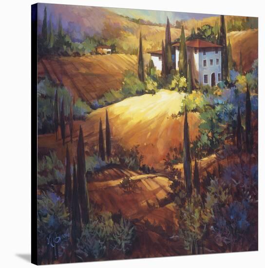 Morning Light Tuscany-Nancy O'toole-Stretched Canvas