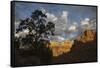 Morning light, Zion National Park-Ken Archer-Framed Stretched Canvas