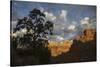 Morning light, Zion National Park-Ken Archer-Stretched Canvas