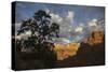 Morning light, Zion National Park-Ken Archer-Stretched Canvas