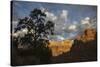 Morning light, Zion National Park-Ken Archer-Stretched Canvas