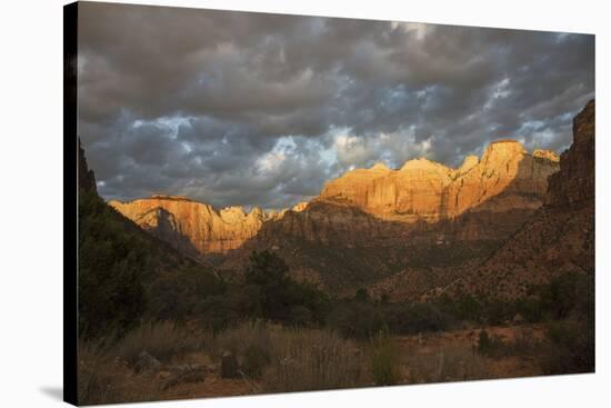 Morning light, Zion National Park-Ken Archer-Stretched Canvas