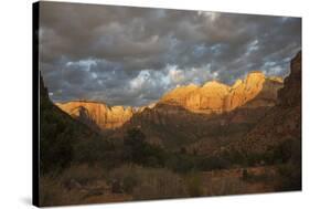 Morning light, Zion National Park-Ken Archer-Stretched Canvas