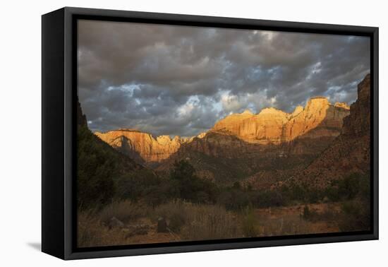 Morning light, Zion National Park-Ken Archer-Framed Stretched Canvas