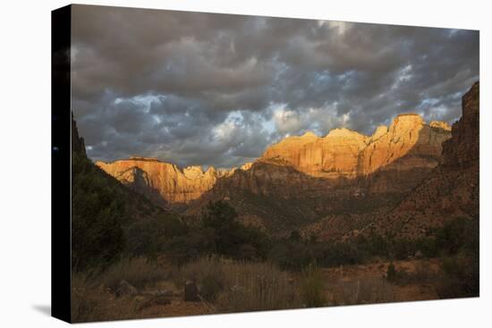 Morning light, Zion National Park-Ken Archer-Stretched Canvas