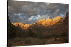 Morning light, Zion National Park-Ken Archer-Stretched Canvas