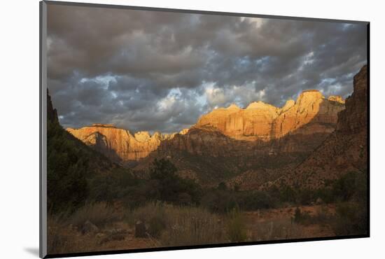 Morning light, Zion National Park-Ken Archer-Mounted Photographic Print